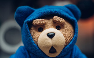 Teddy bear blue hooded costume - a teddy bear free wallpaper