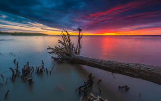 Tree water beach sunset mountain - the water near a beach free wallpaper