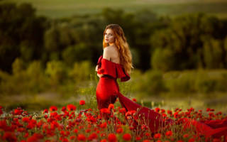 Woman red dress flower field 2 - impressionist free wallpaper