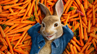 Rabbit blue shirt tie carrots - weta digital free wallpaper