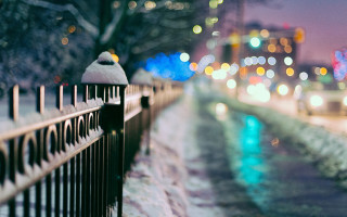 Night bench hat street city - evgeny lushpin free wallpaper