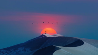 Sunset snowy mountain birds hill - top of a hill free wallpaper