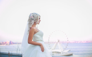 Wedding dress water ferris wheel - canon 5 0 mm free wallpaper