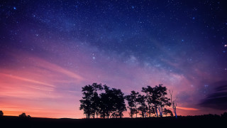 Night sky stars purple blue - star and trees free wallpaper