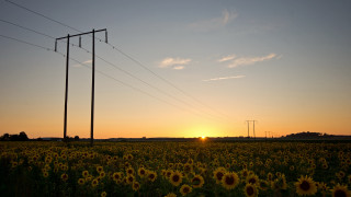 Sunflowers powerlines dusk mountain sky - a sun setting free wallpaper