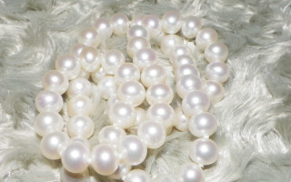 Pearls fur black bead macro - de hirsh margule free wallpaper