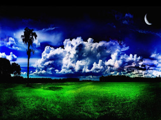 Green field tree crescent moon - a green field free wallpaper