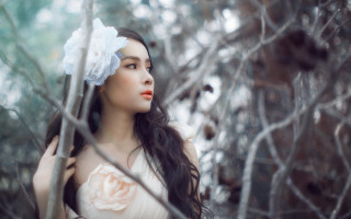 Woman white dress flower forest - chen lin free wallpaper