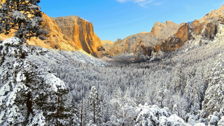 Snowy mountain forest mountains blue - a snowy mountain free wallpaper