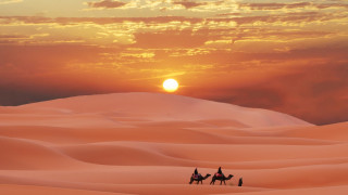 Desert sunset group camel hill - sunset free wallpaper