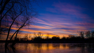 Sunset reflected trees autumn bush - a sunset free wallpaper