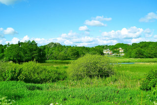 Field house trees blue sky - bascove free wallpaper for desktop