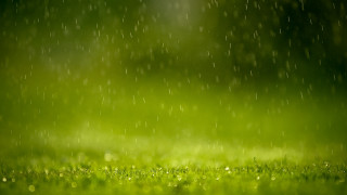 Green field rain falling grass - a green field free wallpaper