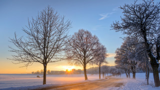 Snowy road trees sunset blue - a snowy road free wallpaper