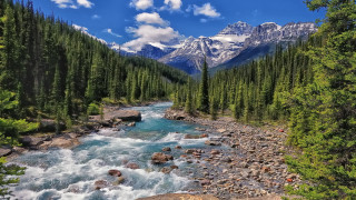 River forest rocks trees mountain 2 - alexander brook free wallpaper