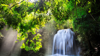 Waterfall sunlight trees forest nature - sunlight free wallpaper