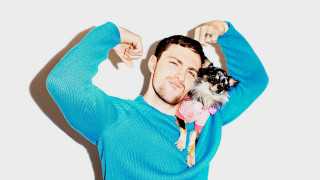 Man dog blue sweater promotional - a blue sweater free wallpaper
