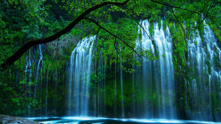Waterfall tree lake forest nature - impressionist free wallpaper