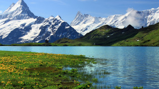 Mountain lake flower field forest - a mountain range free wallpaper