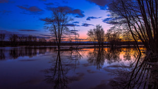 Lake sunset trees clouds autumn 5 - tree and a sunset in the background free wallpaper