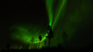 Green light forest night stars - atmospheric lighting free wallpaper