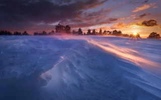 Sunset snow covered field trees 2 - a trail free wallpaper