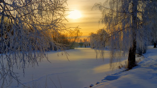 Snowy path trees sunset clouds - tree and a sunset in the background free wallpaper