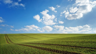 Large field dirt track blue - a large field free wallpaper