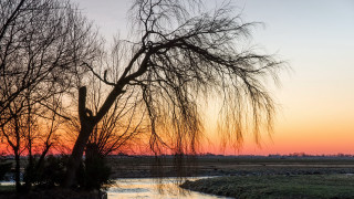 Bare tree river sunset clouds - a river free wallpaper for desktop