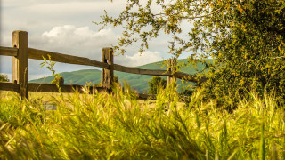 Wooden fence grassy field mountains 3 - the background and a tree in the foreground free wallpaper