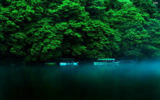 Boat forest green nature long - green tree free wallpaper