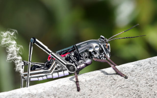 Bug cigarette wall smoke 3d - a bug free wallpaper