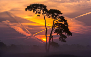 Sunset trees plane dusk autumn - a sunset free wallpaper