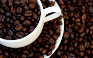 Coffee beans plate spoon blurry - a spoon free wallpaper