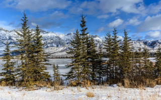 Snowy landscape trees mountains lake - tree and mountains free wallpaper