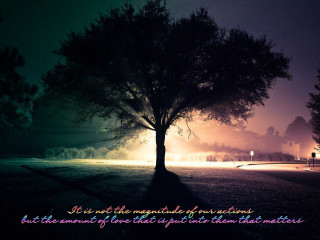 Tree field quote light behind - arthur quartley free wallpaper