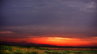 Sunset clouds animals grass field - a few animal free wallpaper