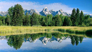 Mountain lake reflection forest grass - ansel adams free wallpaper