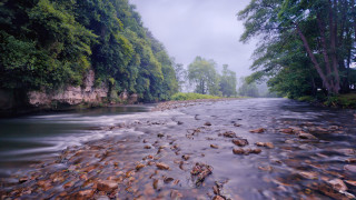 Hudson river forest waterfall mountains - a cloudy day free wallpaper