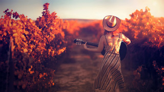 Woman hat guitar orange trees - a sunset in the background free wallpaper