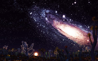 Colorful galaxy light stars plants - david free wallpaper