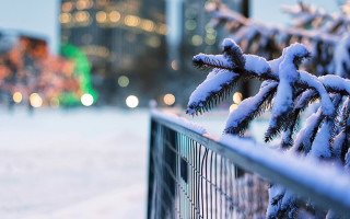 Snowy tree branch fence city - an gyeon free wallpaper for desktop
