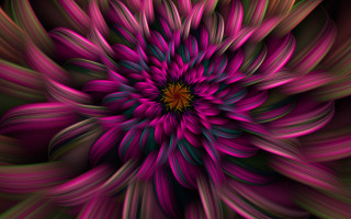 Purple flower green center surrounded - smaller free wallpaper