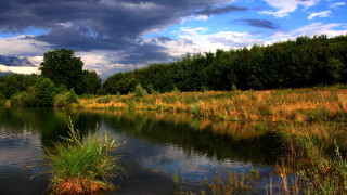 River grassy bank trees cloudy 2 - alexander brook free wallpaper