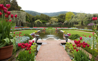 Garden pond walkway flowers nature - a few tree and bushes free wallpaper