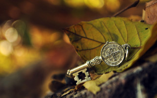 Key leaf rock woods steampunk - a green leaf in the foreground free wallpaper