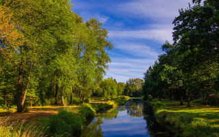 River forest sunny day nature - a lush green forest free wallpaper