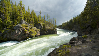 River rapids trees cloudy sky - river free wallpaper