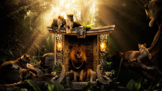Lions wooden structure forest light - digital painting free wallpaper