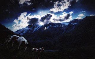 Horses grazing mountains bird sky - a group of horses free wallpaper